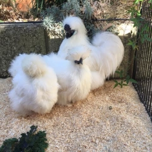 0575af8f-b847-40db-a4d8-c8c13e66609d