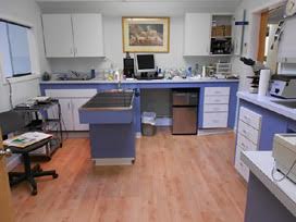 314732ce-efb6-4493-a3d1-d24b57d07c6f