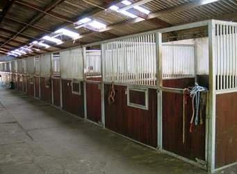 Website Images Equine Stable Bedding