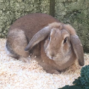 ab348e4e-d8fb-4cbd-a015-6ea935e010b1